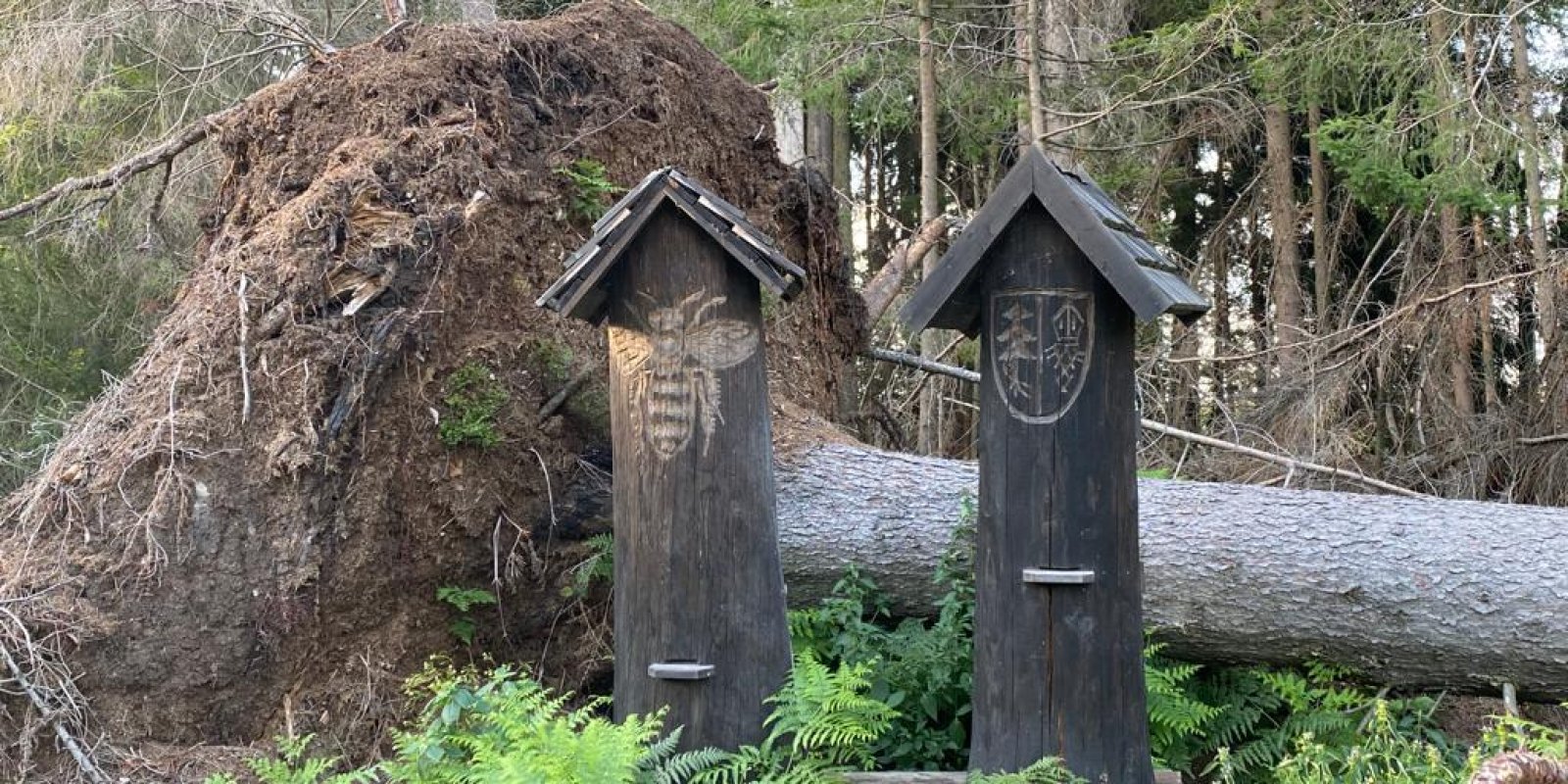 Včelí naučná stezka Smrčná