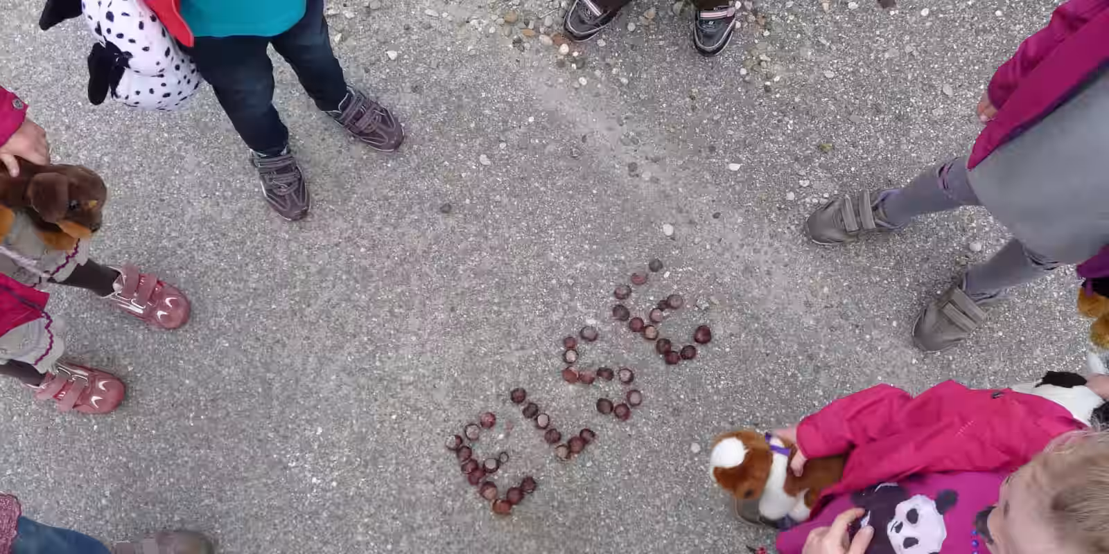 Školní výlety a výukové programy