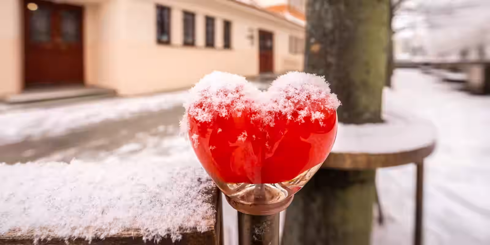 Láskou rozkvetlá Jihlava