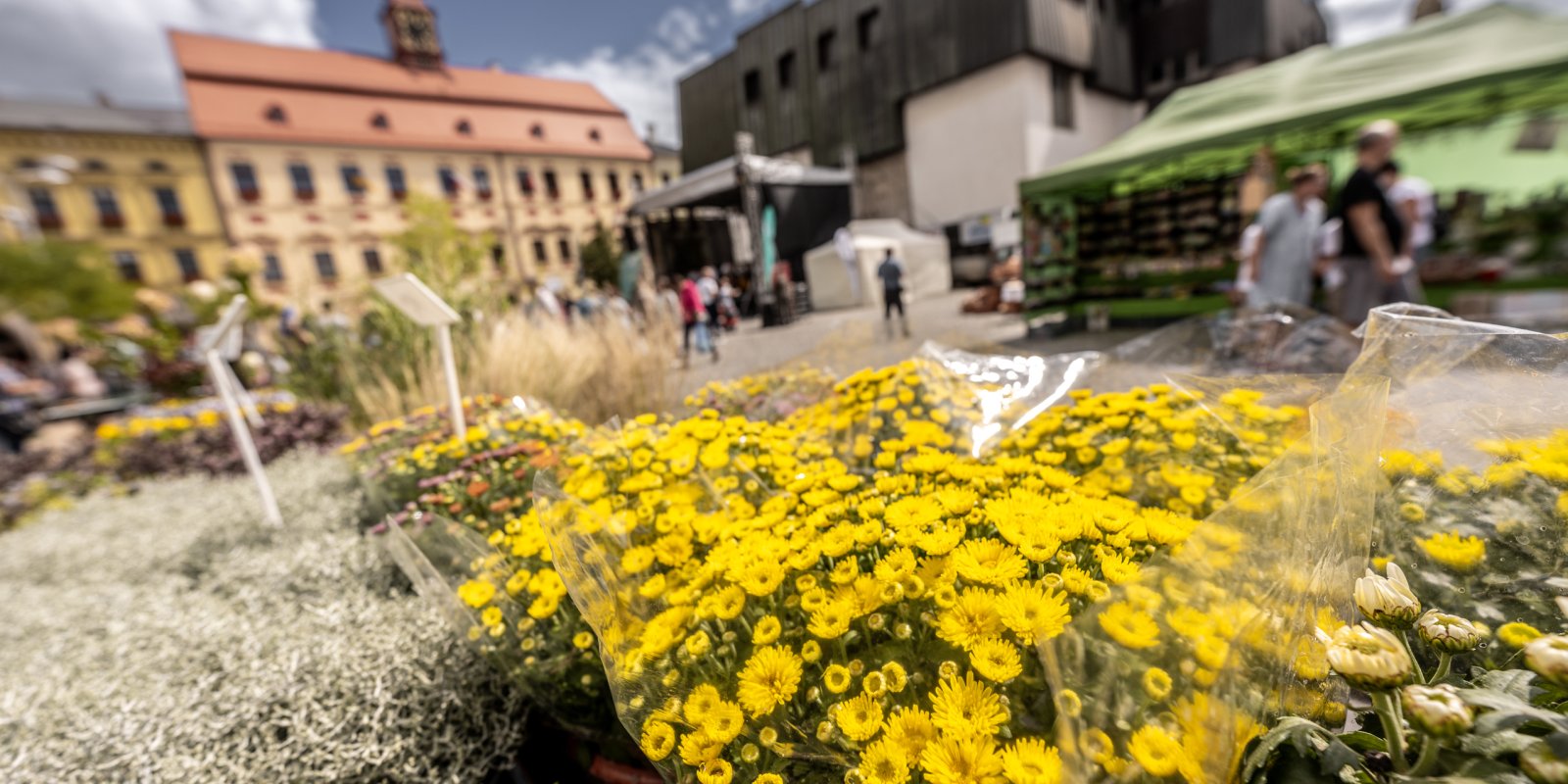 Dožínky + Den evropského dědictví