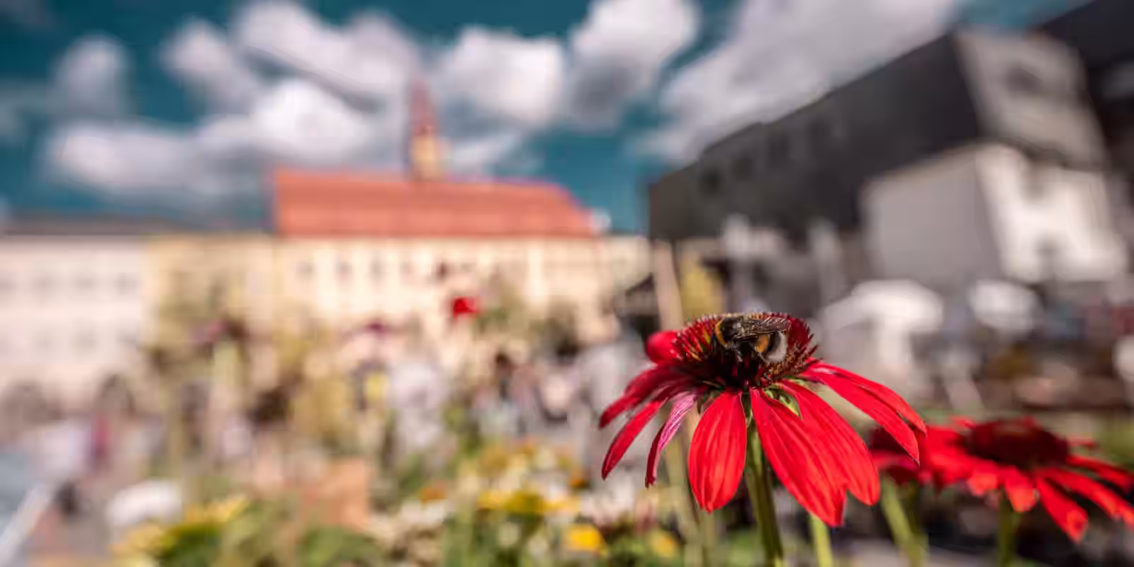 Dožínky & Den evropského dědictví 2025