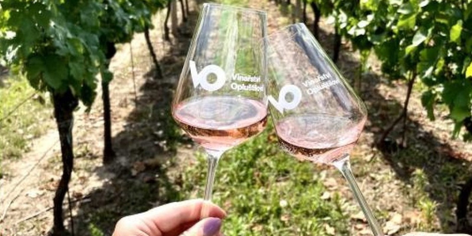 Degustační večer s vinařstvím Opluštilovi z Čejkovic