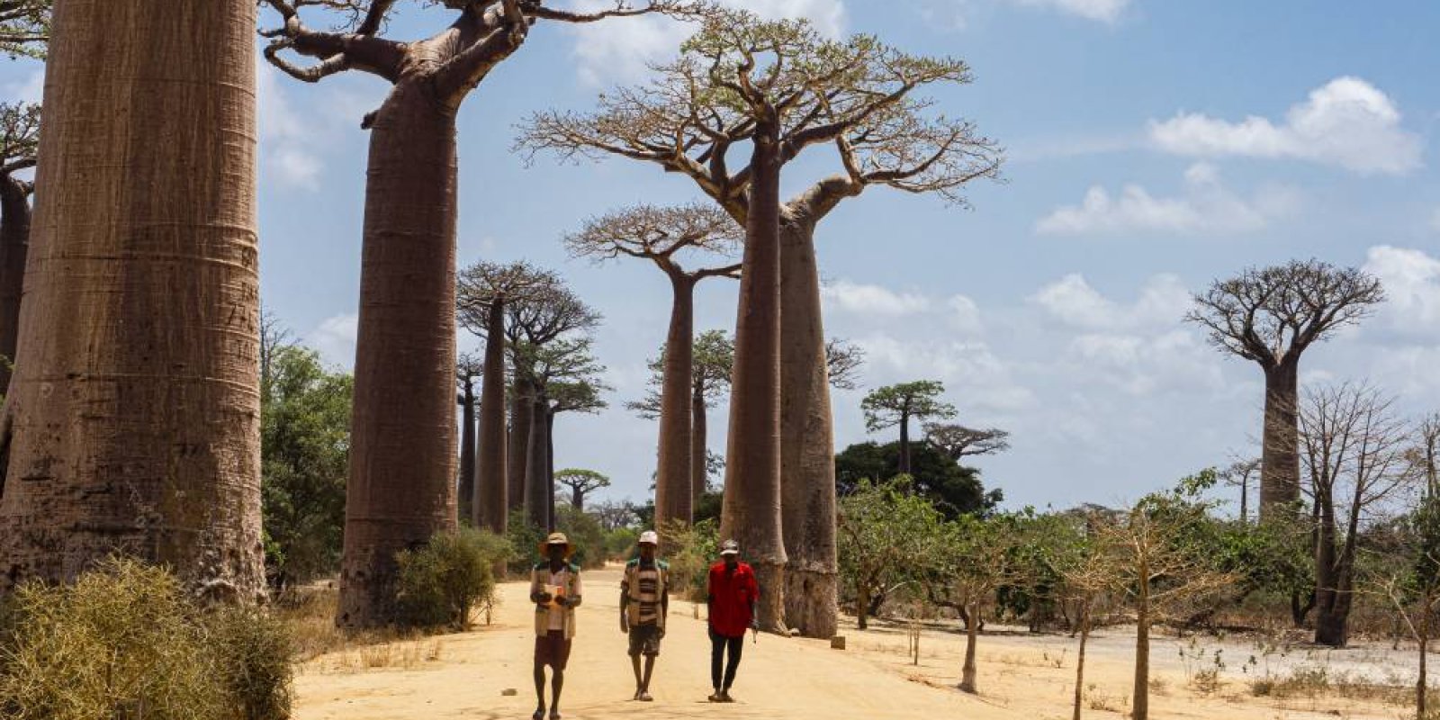 Geolog na cestách: MADAGASKAR