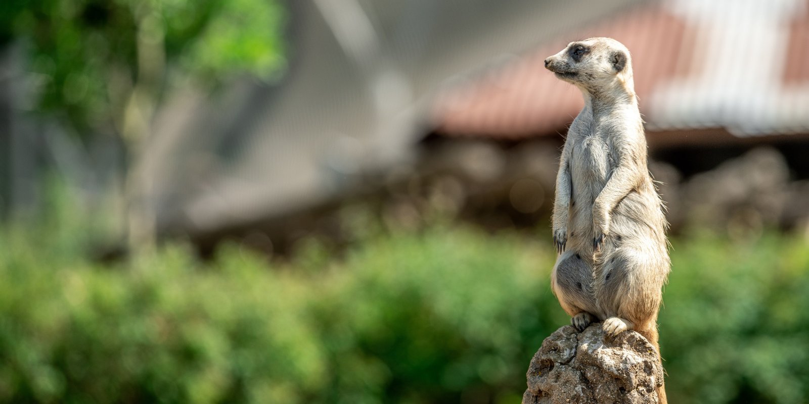 Za jedničku do Zoo Jihlava