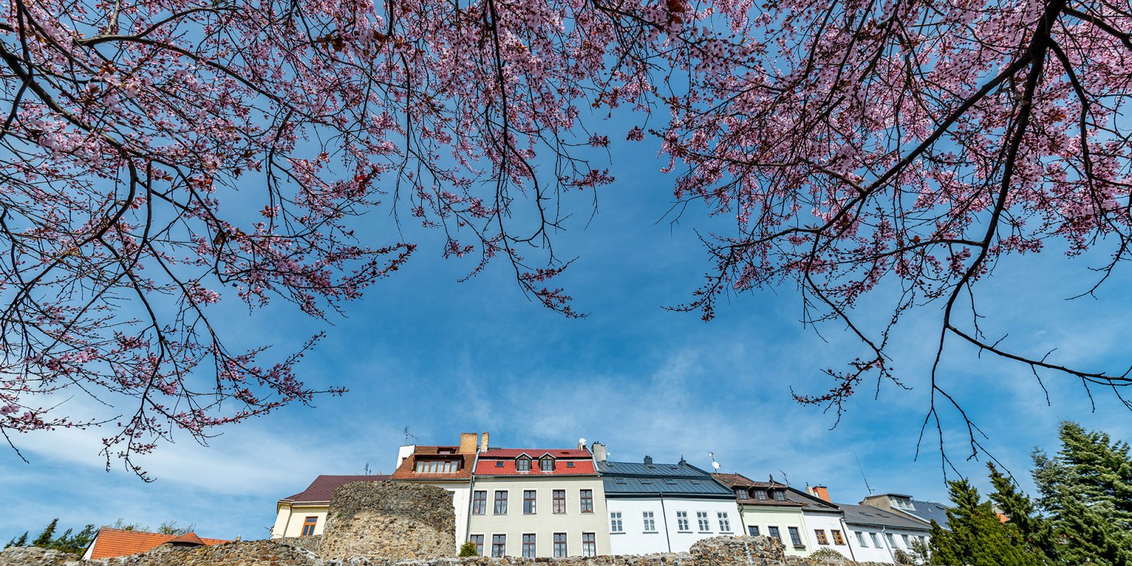 Z Jihlavy za krásami UNESCO