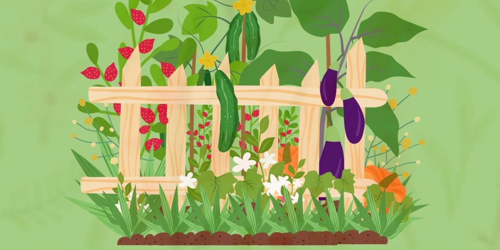 Hernička - Šel zahradník do zahrady