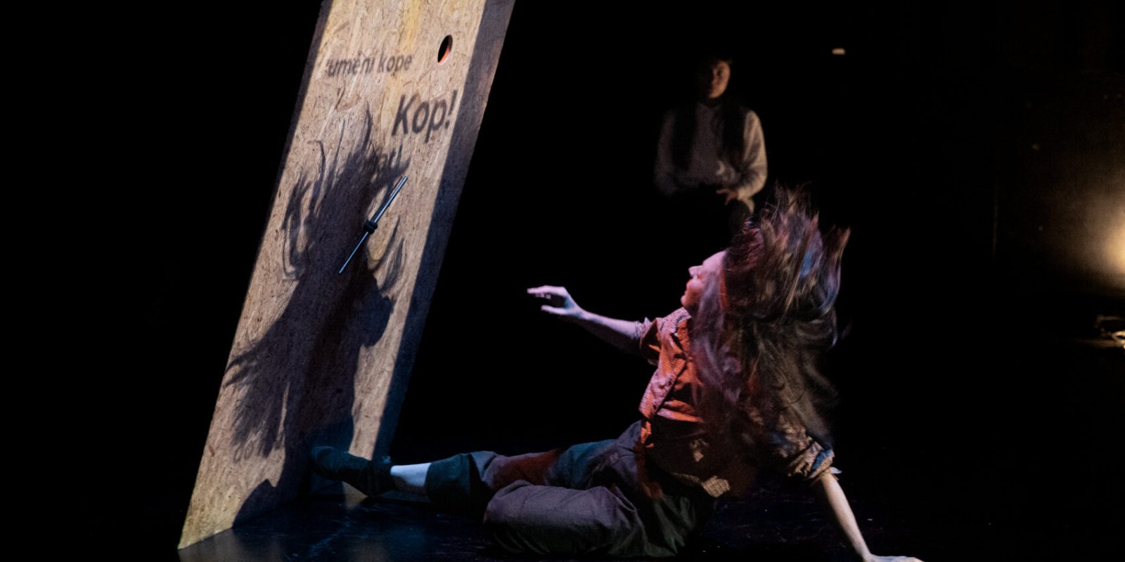 Eliška Brtnická: Round table / jihlavská premiéra