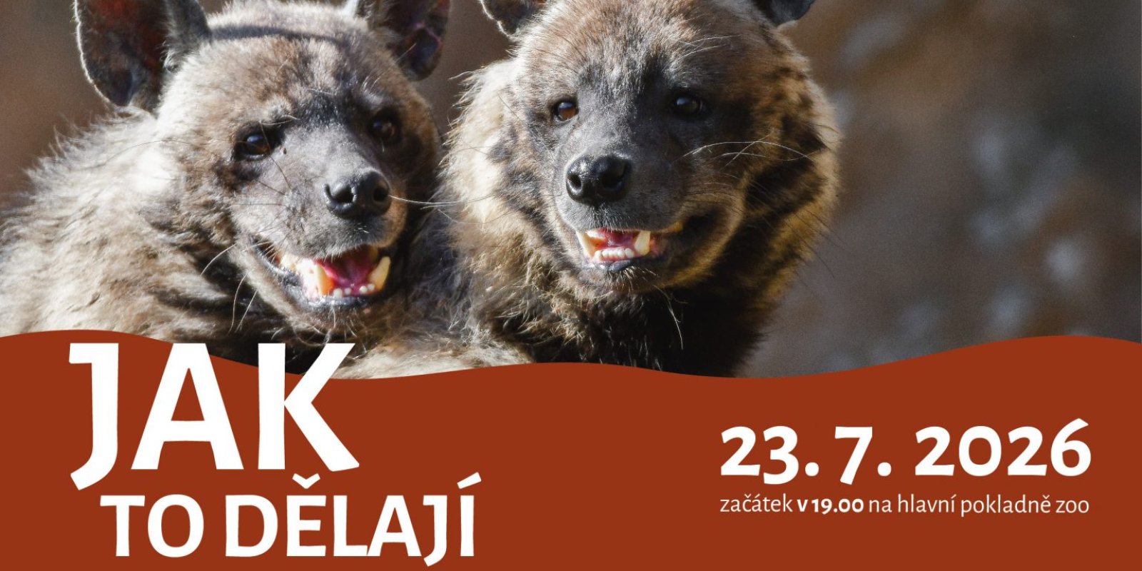 Jak to dělají – Sexuální život zvířat