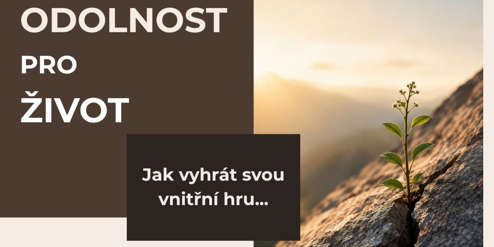 Odolnost pro život